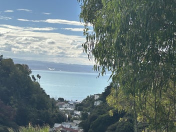 Image 1 of 26
