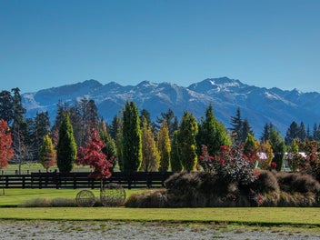 Image 1 of 31