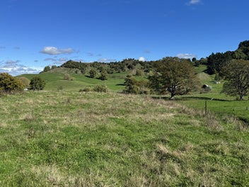Great Location, No Covenants