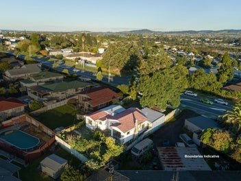 Elevated Character with Tauranga Panorama