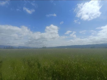 Reefton 2 Acre life style sections