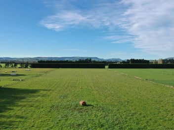 Build a Lifestyle in Edendale