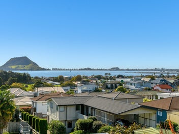 Image 1 of 15