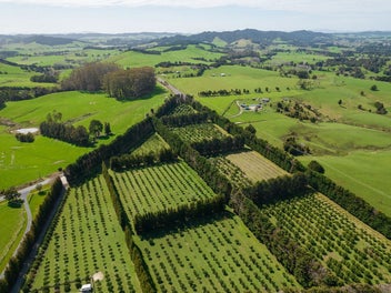 4HA VOLCANIC SOILS – ORANGES – GRAZING - KKHS