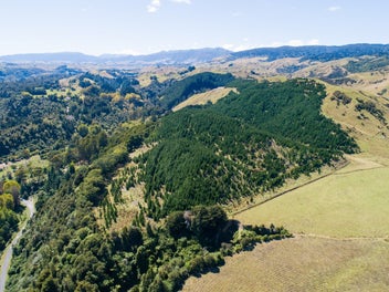 KOMAKO FOREST: LIFESTYLE, RECREATION OR HUNTING