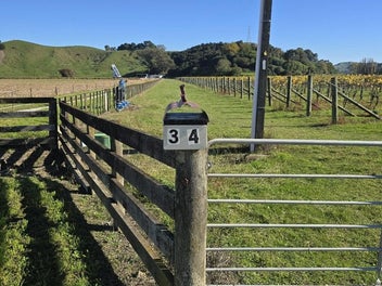 Image 1 of 14