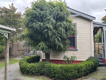 Image 1 of 13