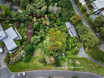 Image 1 of 11