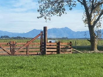 Build your dream - 8 ha bare land