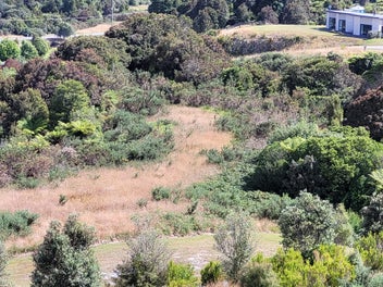 Image 1 of 7