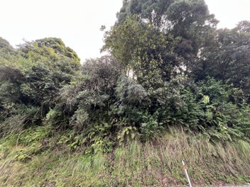 Bare Land Lifestyle Property Close To Town