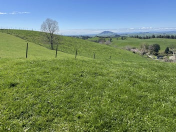 Image 1 of 30