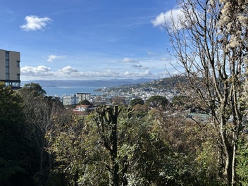 Image 1 of 19