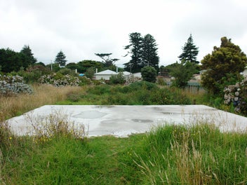 SECTION POTENTIAL