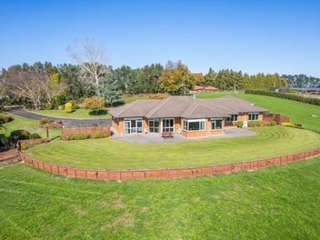 Image 1 of 40