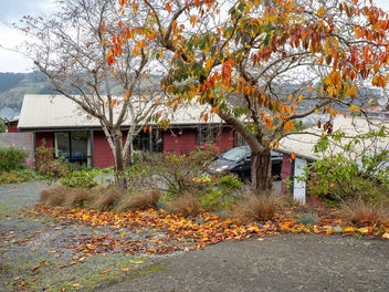 Image 1 of 24