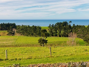 Stunning Ocean Views