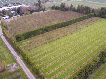 Image 1 of 34