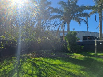 Image 1 of 8