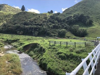 Image 1 of 11