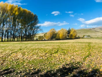 Image 1 of 14
