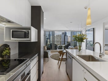 Scintillating Centro Sugartree