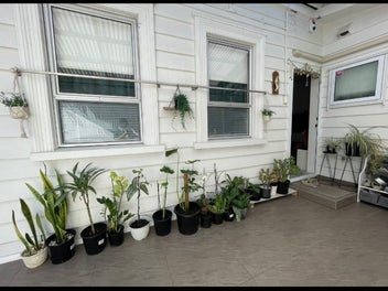 Image 1 of 10
