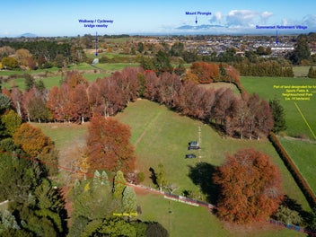 Diverse Development Opportunity