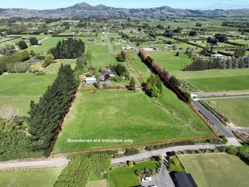 Discover the Best of Both Worlds on Tirohanga Road