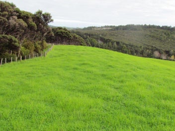 Cove Road - Far Paddock