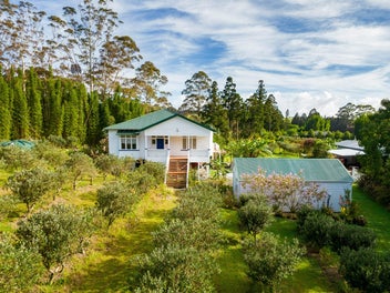 Kerikeri Lifestyle Dream