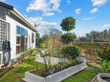 Sleek Lines Meet Garden Life