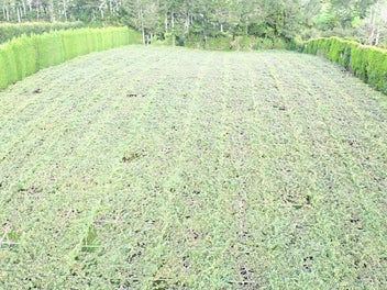 Image 1 of 19