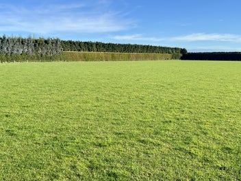 Image 1 of 10
