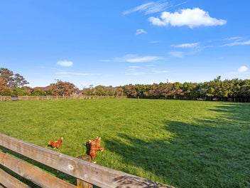 Scenic Lifestyle, Minutes from Town!