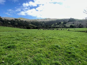 Image 1 of 17