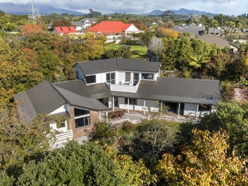 Image 1 of 41