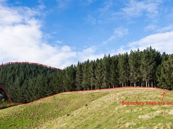 Forestry or lifestyle – your choice!