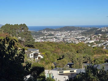Image 1 of 11