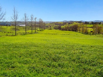 Prime Peninsula Acreage with Water Access Nearby