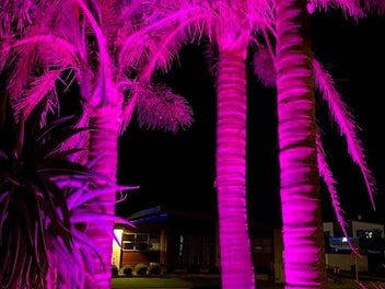 Image 1 of 15