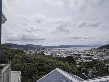 Image 1 of 16