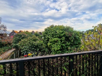 Image 1 of 11