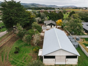 Freshly Renovated & The Shed of Your Dreams