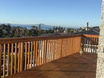 Image 1 of 15