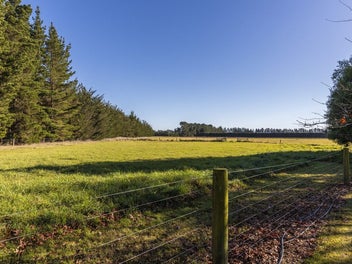 Big Land, Big Potential, Rare Find in Swannanoa!