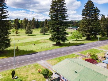 If You Like Golfing, You Will Love This!