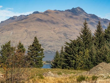 Image 1 of 10