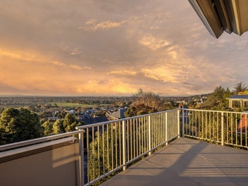 From City Lights to Southern Alps
