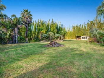 Spring Opportunity - Urban Oasis, Future Upside!